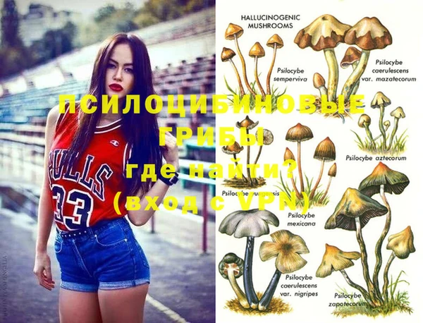 экстази Заводоуковск
