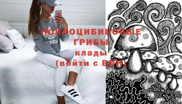 экстази Заводоуковск