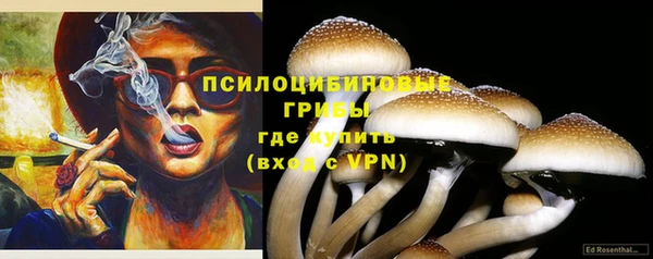 spice Заволжье
